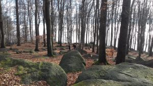 Impressionen | Weitblickwandern