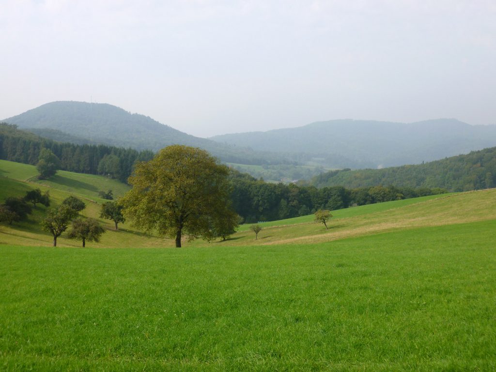 Foto: Blick über hügelige Odenwaldlandschaft